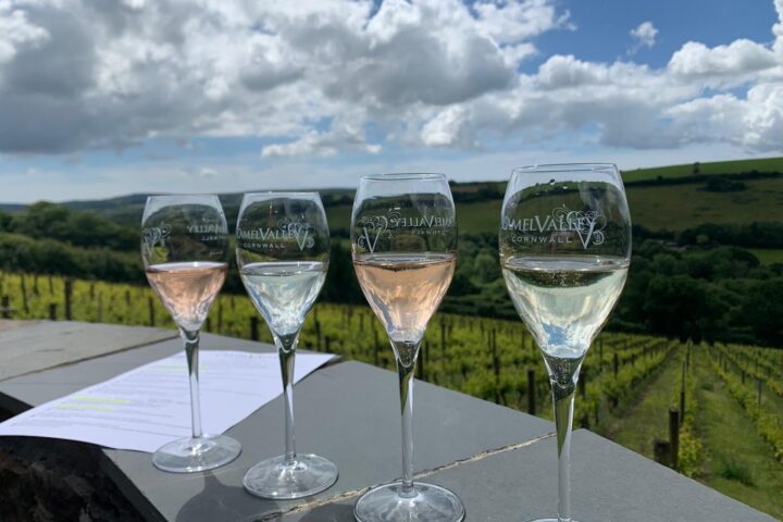 Camel Valley Vineyard - Wine tasting in Cornwall