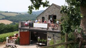 Camel Valley Vineyard Tasting in Cornwall